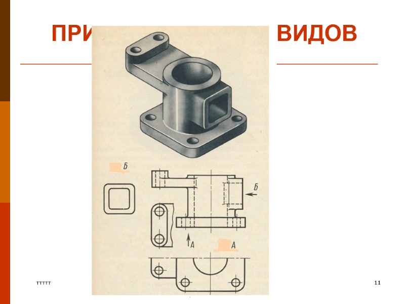 ПРИМЕР МЕСТНЫХ ВИДОВ       ттттт    11
